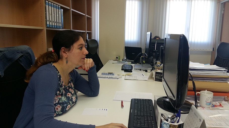 Inserció laboral. Servei de formació i inserció SEFI del CEO del Maresme Inserció laboral. Servei de formació i inserció SEFI del CEO del Maresme