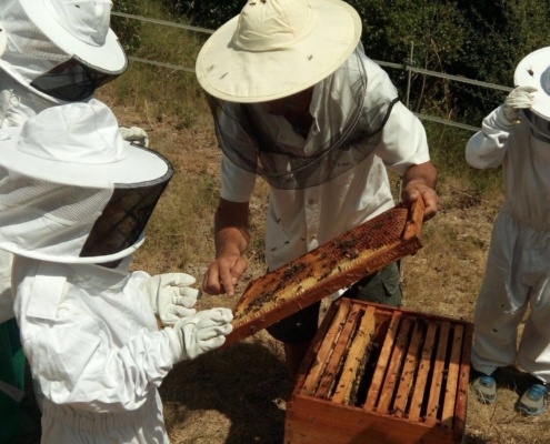 Aula apícola de Can Parcala Fundació el Maresme