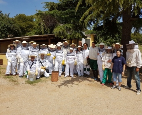 WhatsApp Image 2017-05-29 at 09.34.59