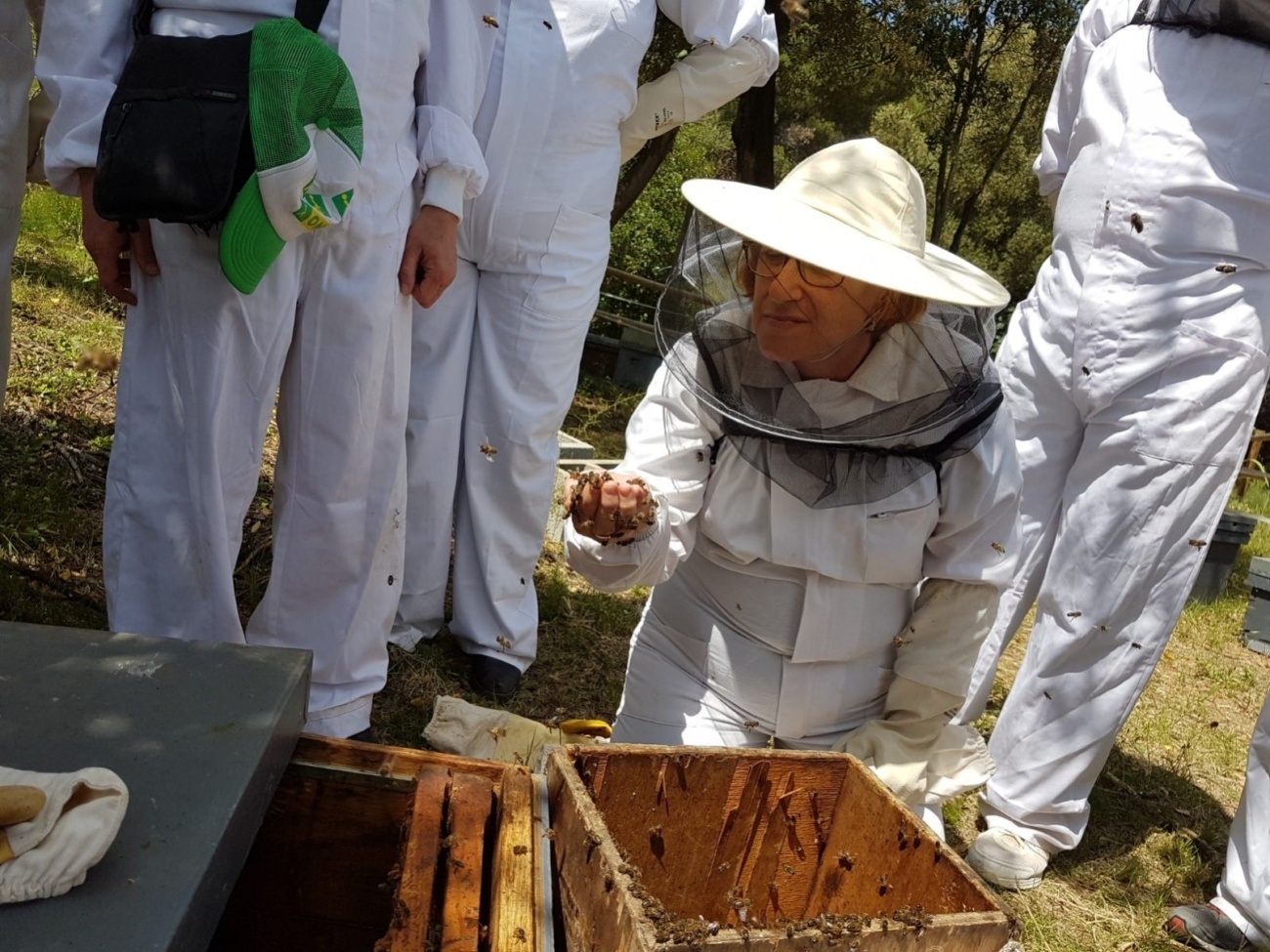 CAN PARCALA - TALLER D'APICULTURA