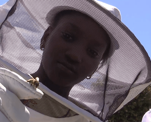 foto nena_escola rocafonda_taller apícola