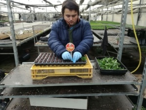 Inserció laboral. Servei de formació i inserció SEFI del CEO del Maresme