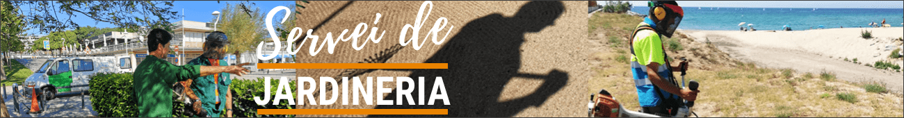 Servei de jardineria a Mataró i el Maresme