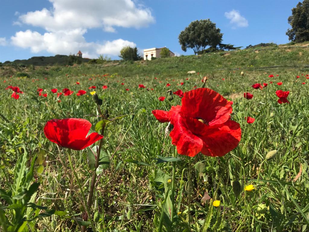 Finca de Can Parcala_CEO del Maresme