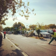 Servei de jardineria a Mataró i el Maresme