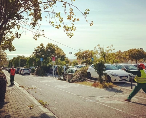 Servei de jardineria a Mataró i el Maresme