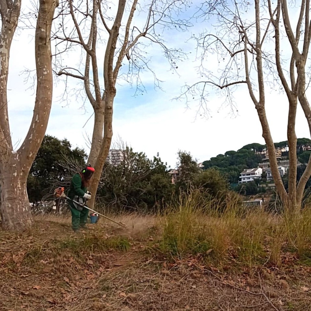 Servei de jardineria a Mataró i el Maresme