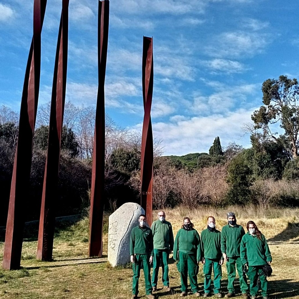 Servei de jardineria a Mataró i el Maresme