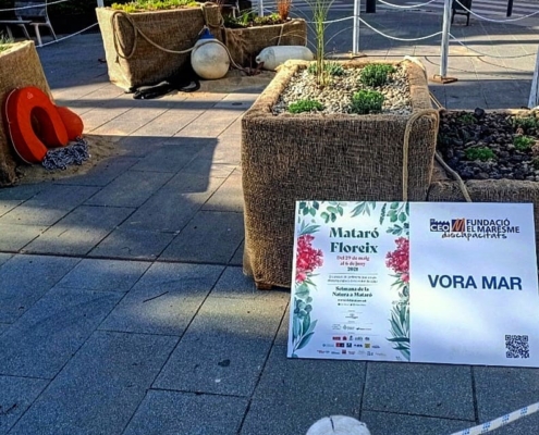 Mataró floreix 2021_servei de jardineria CEO del Maresme_1
