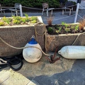 Mataró floreix 2021_servei de jardineria CEO del Maresme_7