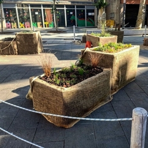 Mataró floreix 2021_servei de jardineria CEO del Maresme_4