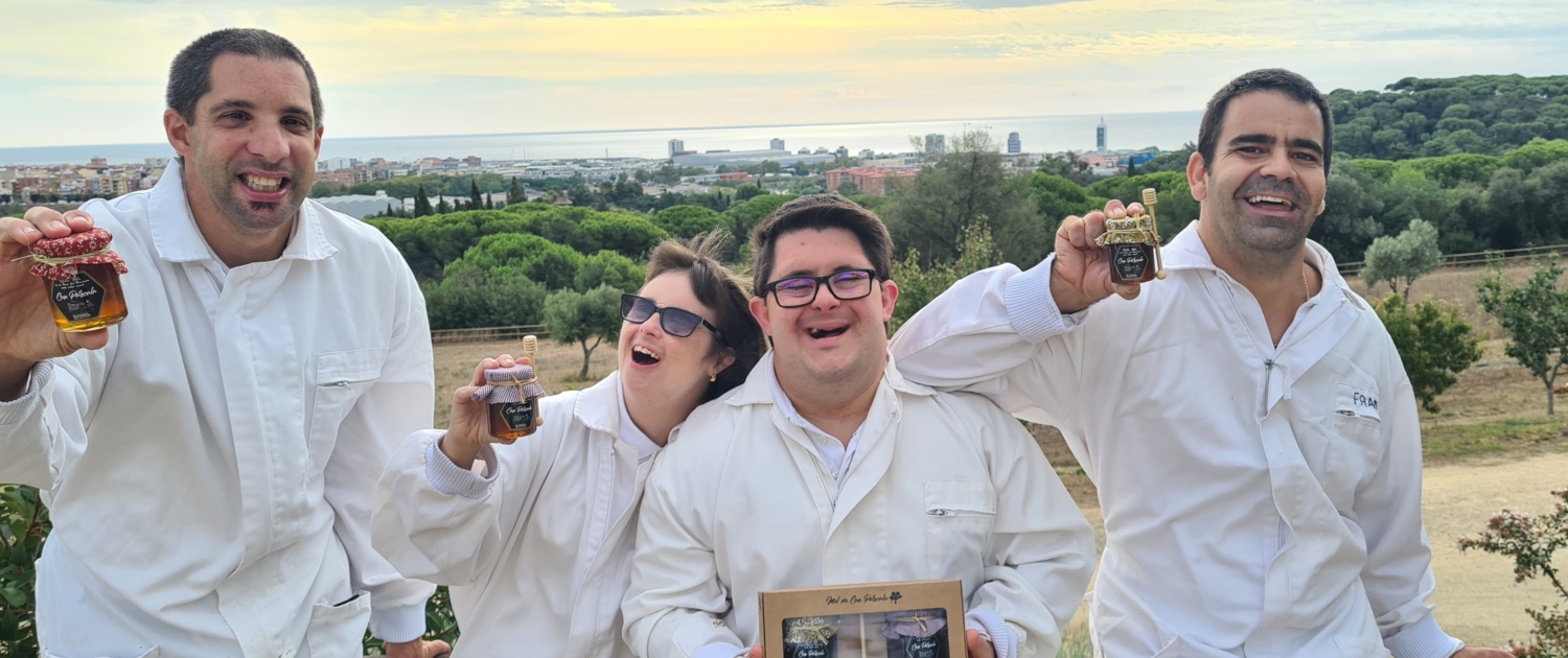 Equip abellaries a Can Parcala, Aula Apícola Projecte Apícola a Can Parcala, Aula Apícola