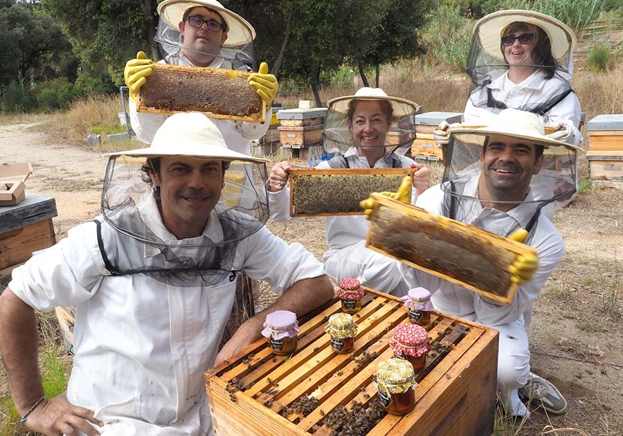 Equip abellaries a Can Parcala, Aula Apícola Projecte Apícola a Can Parcala, Aula Apícola