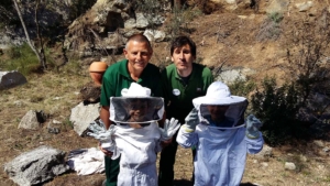 Hort a l'enclavament CEO del Maresme. Activitats a Can Parcala. Hort a l'enclavament CEO del Maresme. Activitats a Can Parcala.