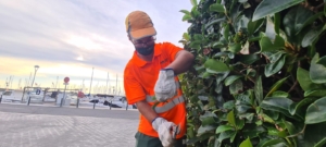 SERVEI DE JARDINERIA CEO DEL MARESME_PORT DE MATARÓ 1