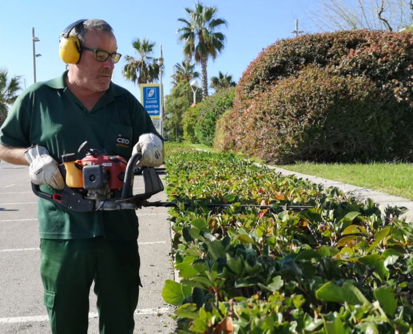 Empresa de jardineria de Mataró i el Maresme Servei de jardineria a Mataró i el Maresme