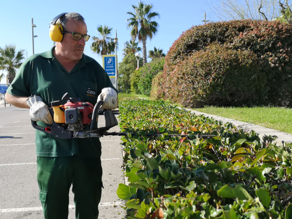 Empresa de jardineria de Mataró i el Maresme Servei de jardineria a Mataró i el Maresme