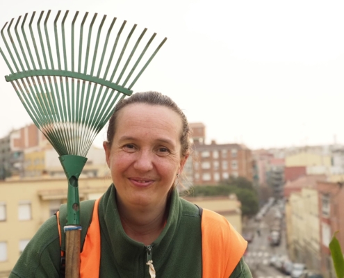 Empresa de jardineria de Mataró i el Maresme Servei de jardineria a Mataró i el Maresme