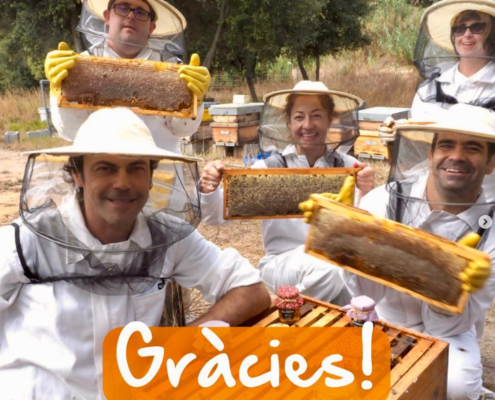 Projecte Apícola a Can Parcala, Aula Apícola