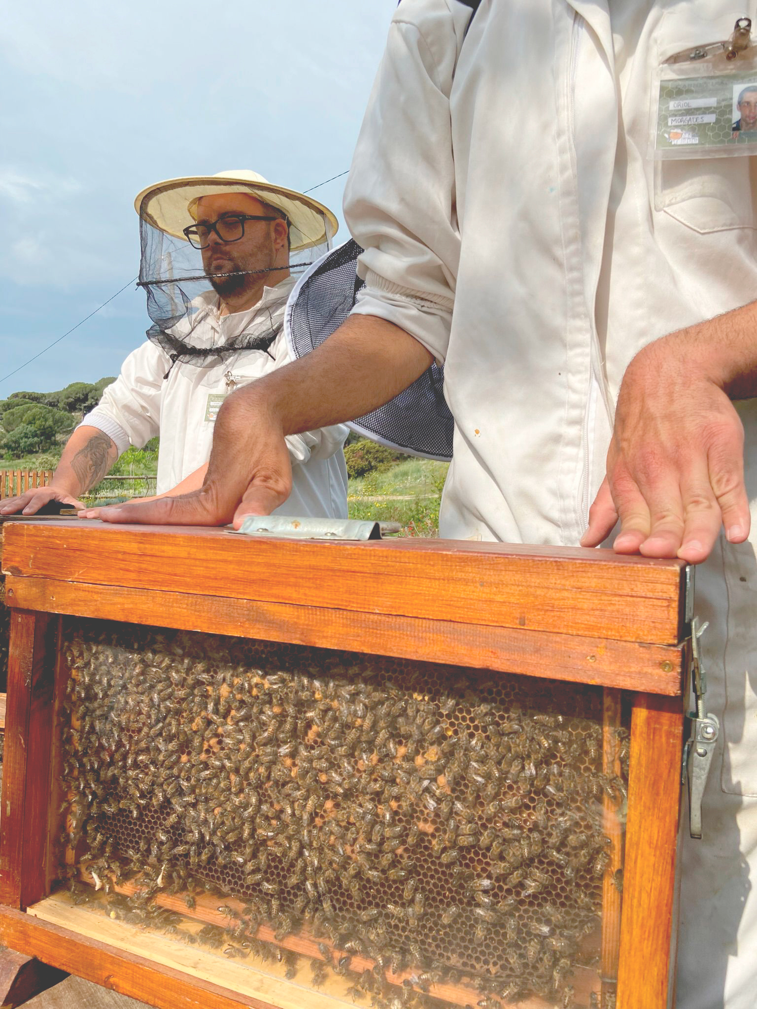 càmera d'observació_aula apícola de Can Parcala