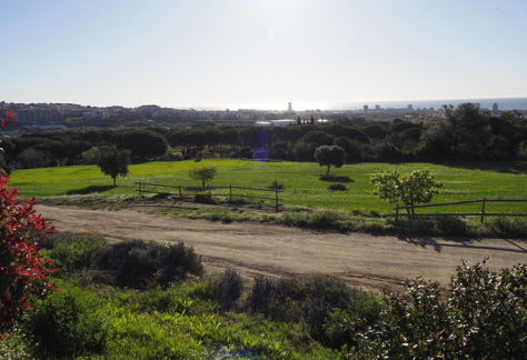 can parcala_vistes panoràmiques can parcala_vistes panoràmiques