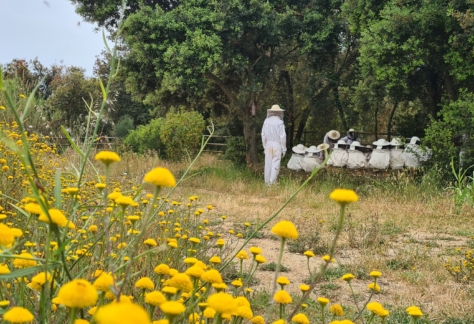 aula apícola de can parcala_grup escolar