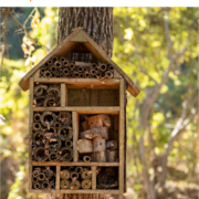 portada premi miquel soler_can parcala