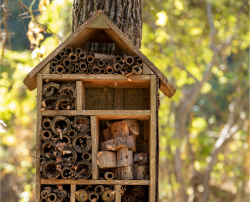 portada premi miquel soler_can parcala