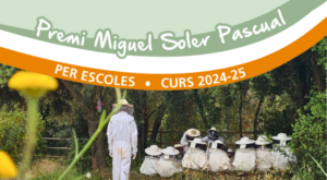 Disseny sense títol (37)