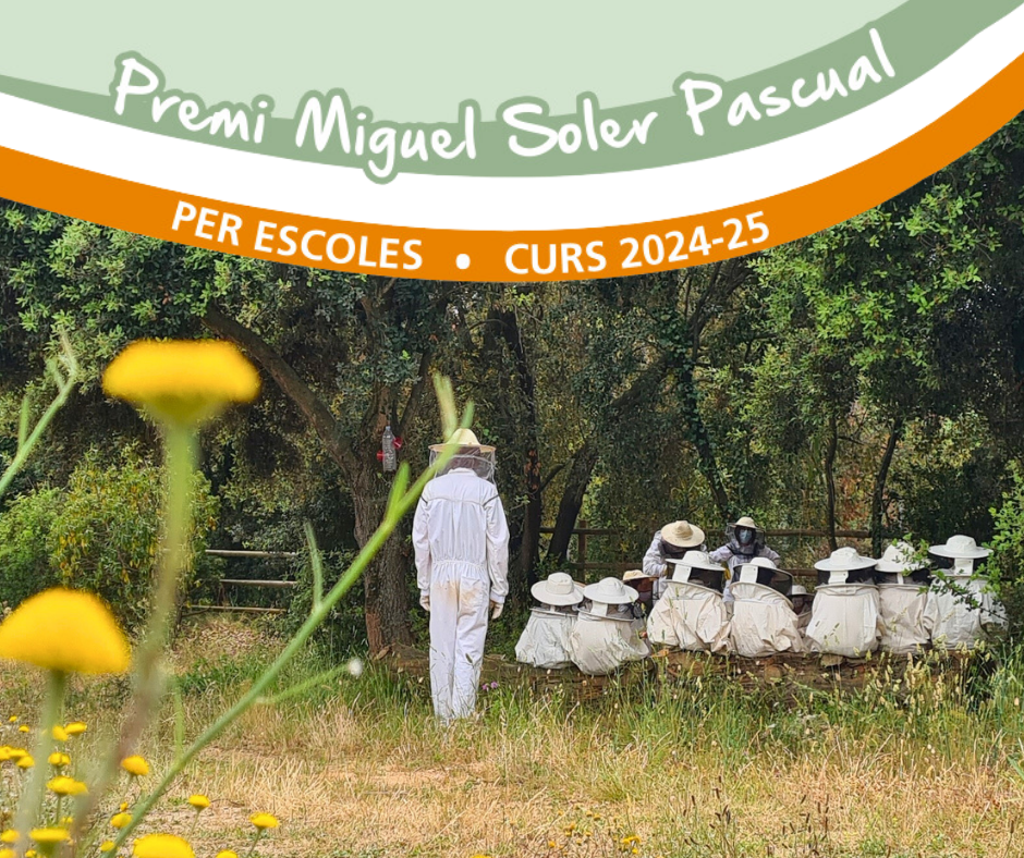 V.DEF_BANNER WEB_Premi Miguel Soler Pascual (1)